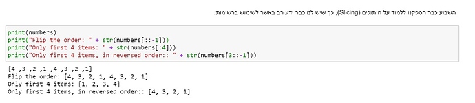 תמונה1